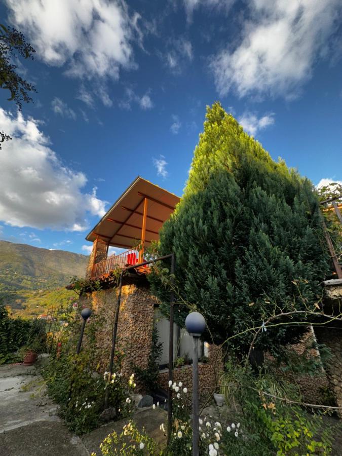 Ballkon Turi Tiranë Luaran gambar